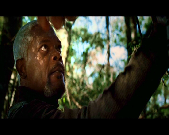 PDVD_358.jpg