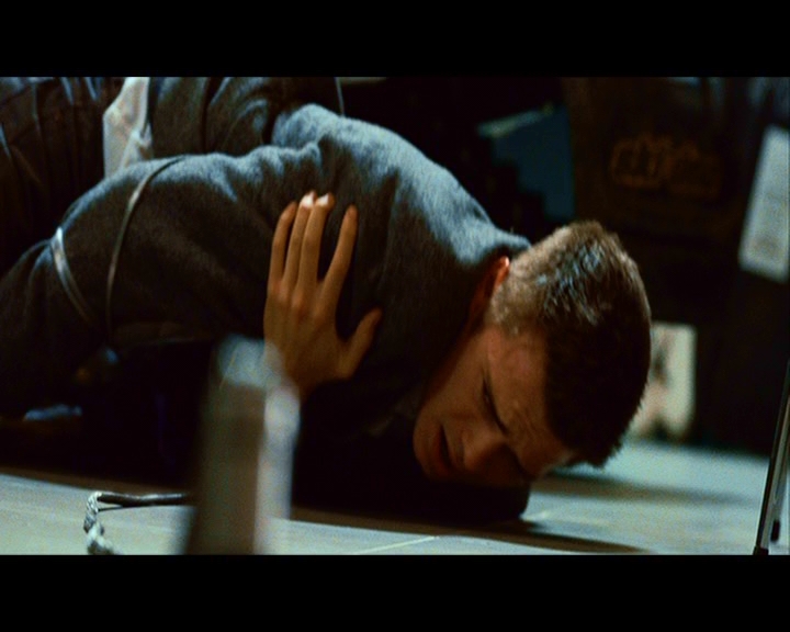 PDVD_445.jpg