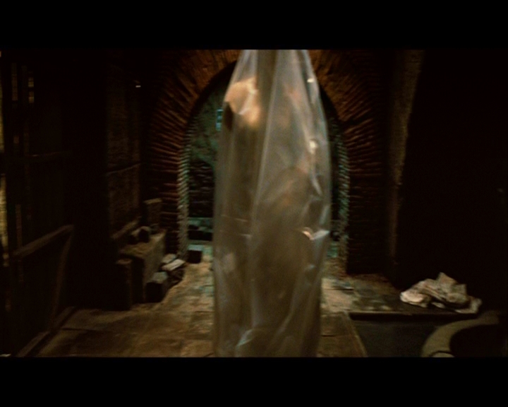 PDVD_797.jpg
