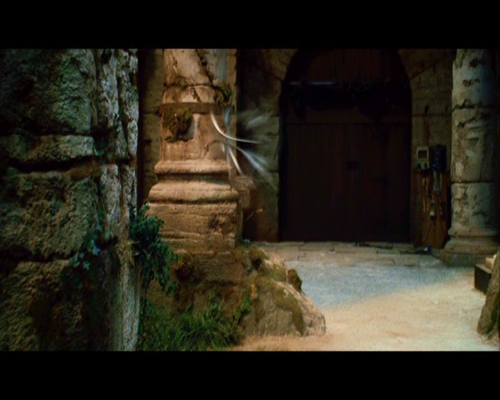 PDVD_852.jpg