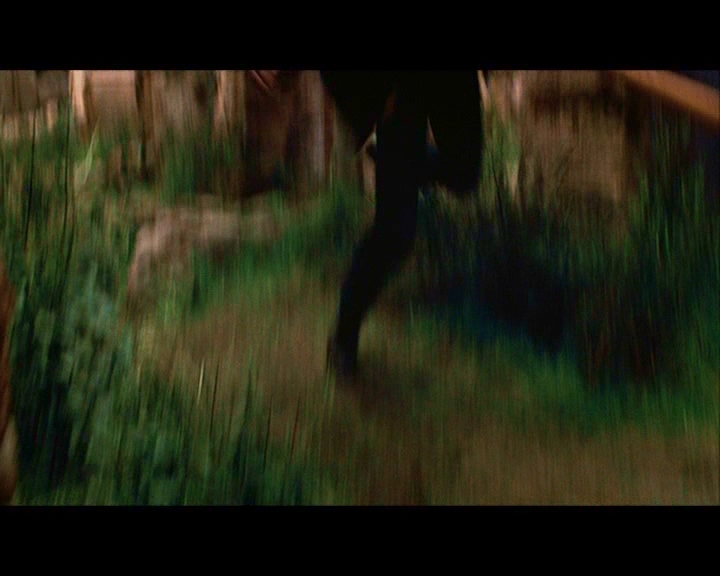 PDVD_884.jpg