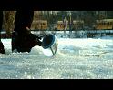 PDVD_047