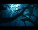 PDVD_057
