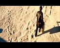 PDVD_1268