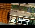 PDVD_1506