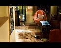PDVD_1534