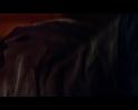 PDVD_1714