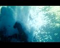 PDVD_1837