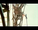 PDVD_1873