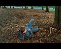 PDVD_188