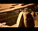 PDVD_333