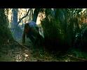 PDVD_339