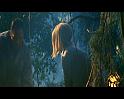 PDVD_343
