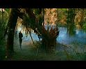 PDVD_361