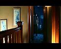 PDVD_478