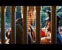 PDVD_746