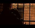 PDVD_784