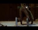 PDVD_877