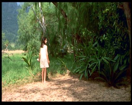 PDVD_031.jpg
