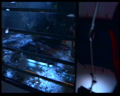 PDVD_1004.jpg