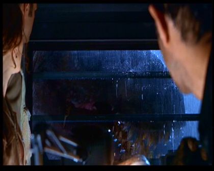 PDVD_1015.jpg