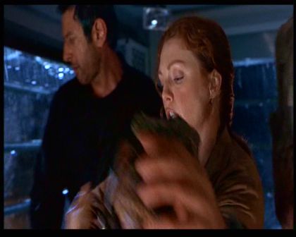 PDVD_1049.jpg