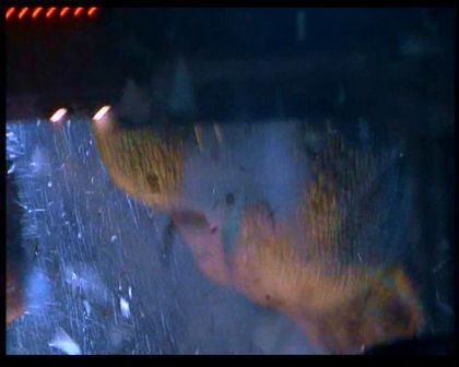 PDVD_1104.jpg