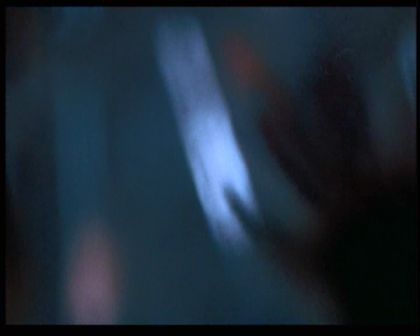 PDVD_1145.jpg