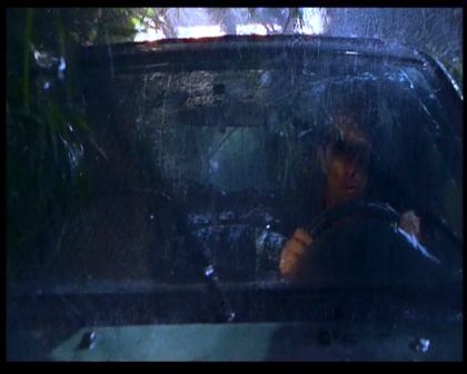 PDVD_1181.jpg