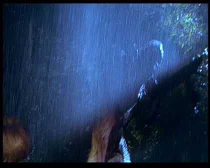 PDVD_1266.jpg
