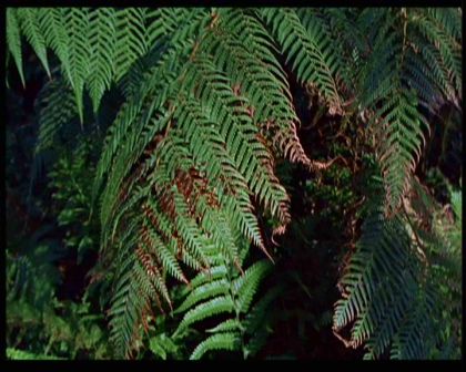 PDVD_1443.jpg