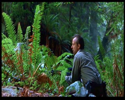 PDVD_1479.jpg