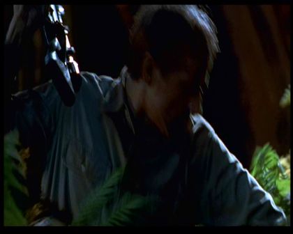 PDVD_1487.jpg