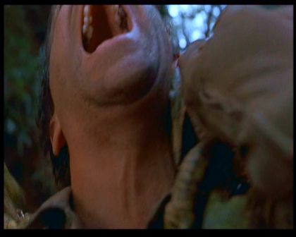 PDVD_1517.jpg