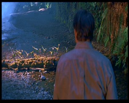 PDVD_1533.jpg