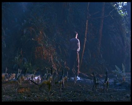 PDVD_1539.jpg
