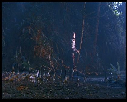 PDVD_1540.jpg
