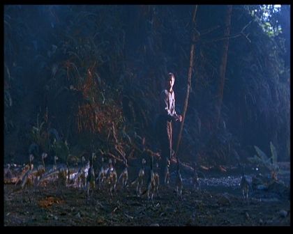 PDVD_1541.jpg