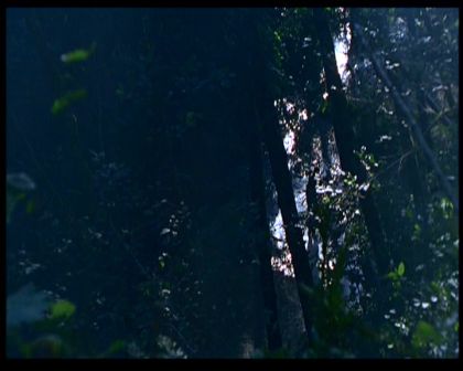 PDVD_1563.jpg