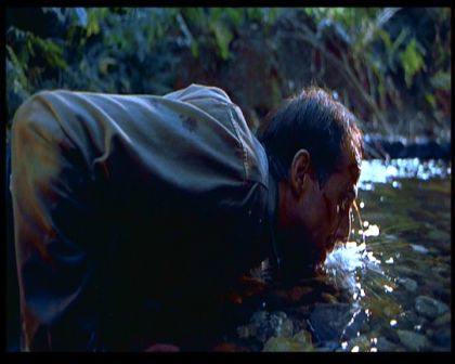 PDVD_1568.jpg