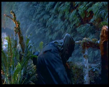 PDVD_1589.jpg
