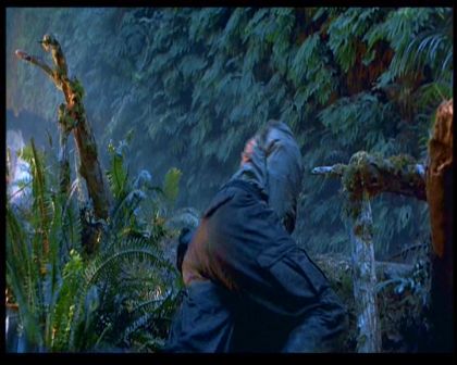 PDVD_1590.jpg
