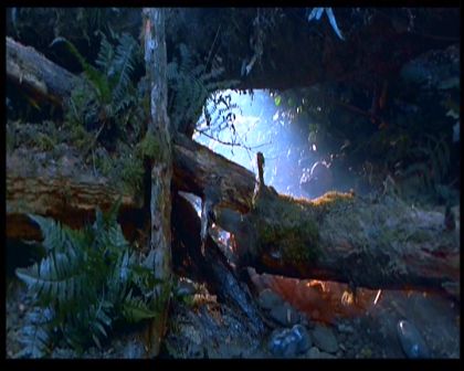 PDVD_1597.jpg