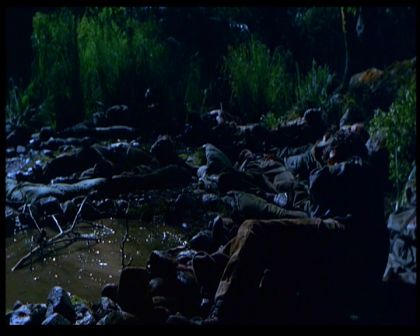 PDVD_1689.jpg