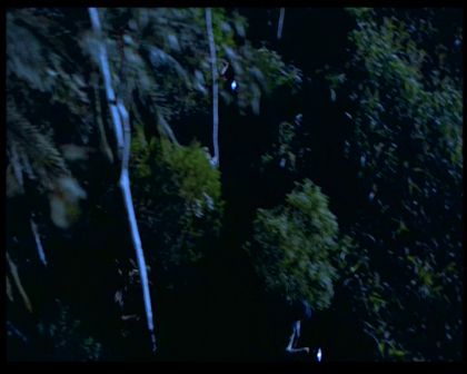 PDVD_1703.jpg