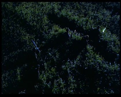 PDVD_1705.jpg