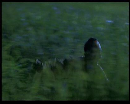 PDVD_1712.jpg