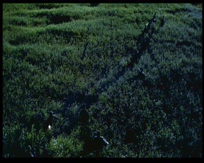 PDVD_1718.jpg