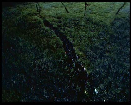 PDVD_1724.jpg