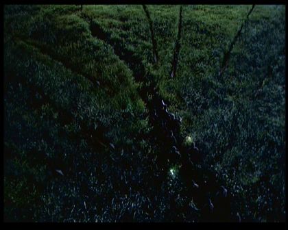 PDVD_1727.jpg